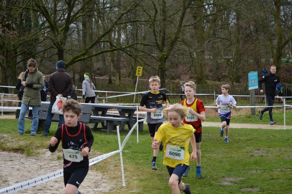 Afbeelding met buitenshuis, boom, gras, persoon

Automatisch gegenereerde beschrijving