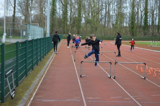 Afbeelding met buitenshuis, sport, Sport, boom

Automatisch gegenereerde beschrijving