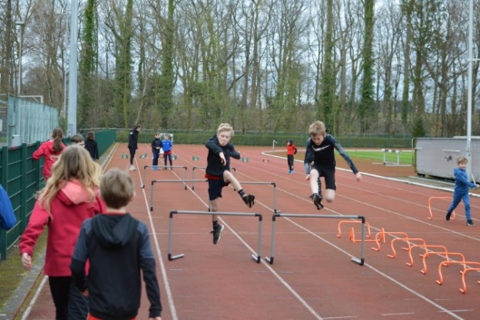 Afbeelding met sport, buitenshuis, persoon, boom

Automatisch gegenereerde beschrijving