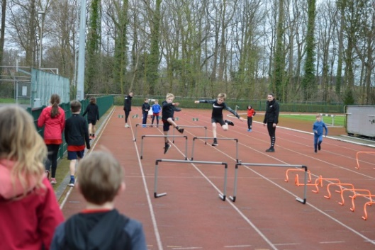 Afbeelding met sport, buitenshuis, persoon, boom

Automatisch gegenereerde beschrijving