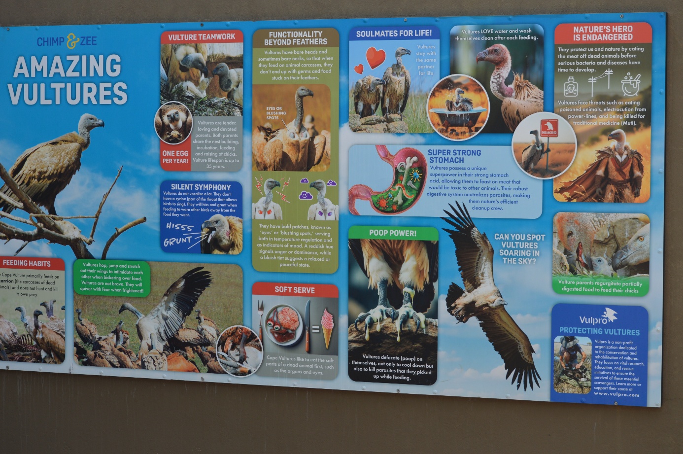 Afbeelding met tekst, vogel, fictie, poster

Door AI gegenereerde inhoud is mogelijk onjuist.